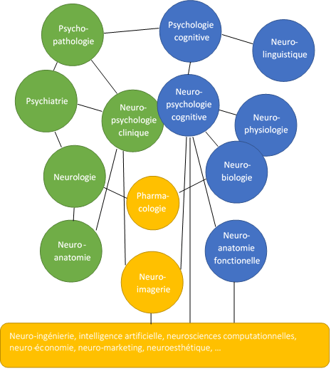 La nébuleuse des neurosciences.