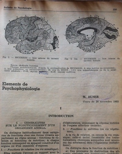 Les aires de Brodmann